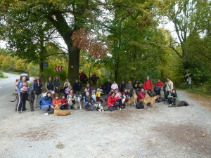 5. ročník Whitney cupu