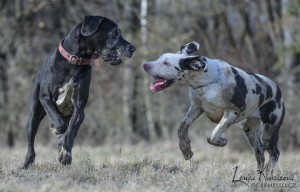 374380_2835857593639_1132501795_n